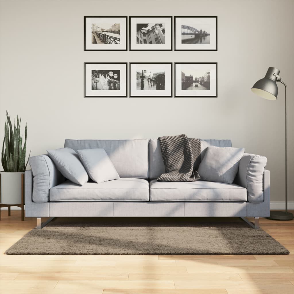 vidaXL Motta „ISTAN“ Langt Flos Skínandi Útlit Grá 80x150 cm